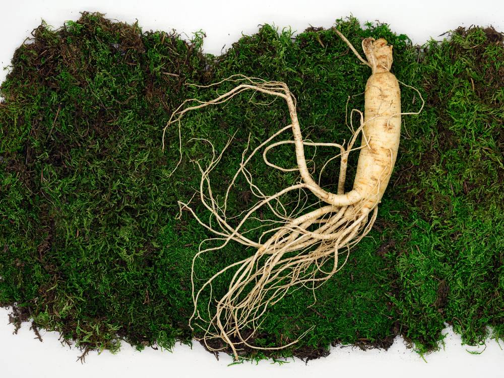 Ginseng Unsplash